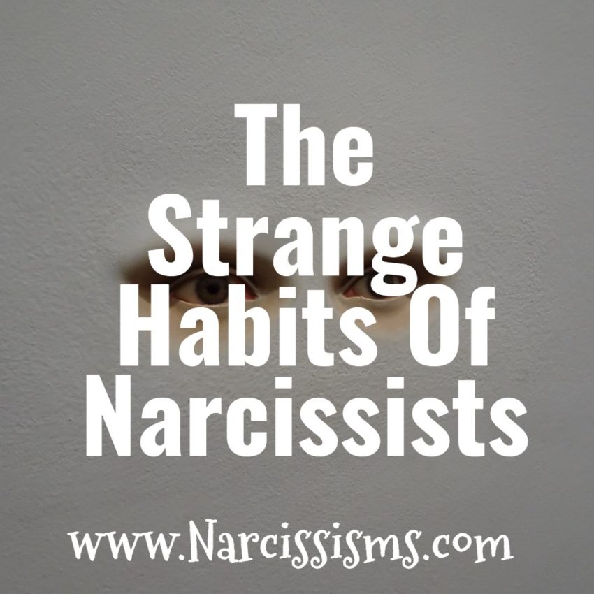 Strange Habits Of Narcissists