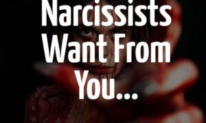 What Narcissists want From You
