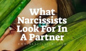 What Narcissists Look For In A Partner