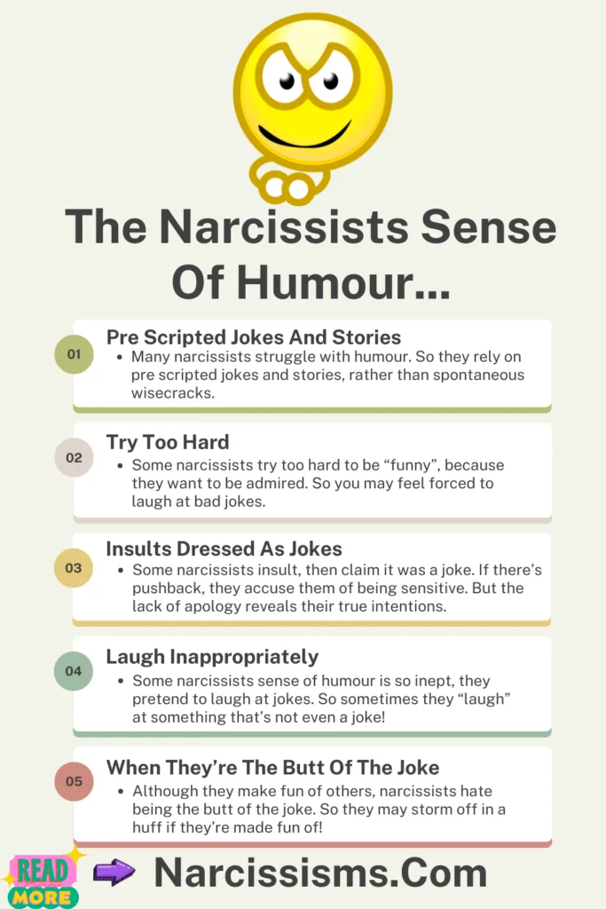 Infographic - "The Narcissists Sense Of Humour"