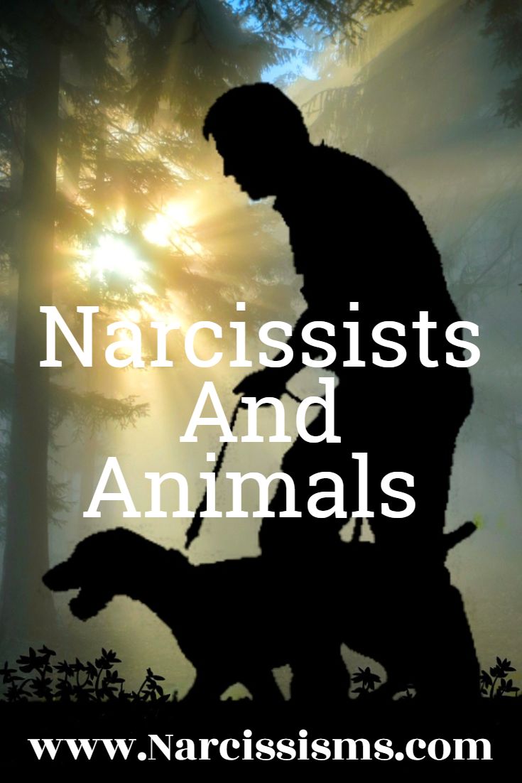 Narcissists And Animals 