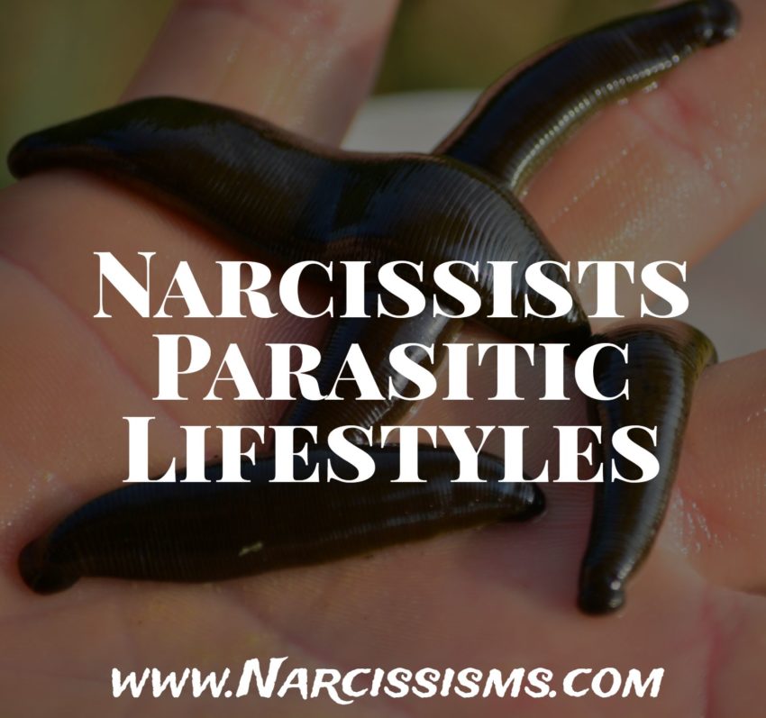 Narcissists Parasitic Lifestyles