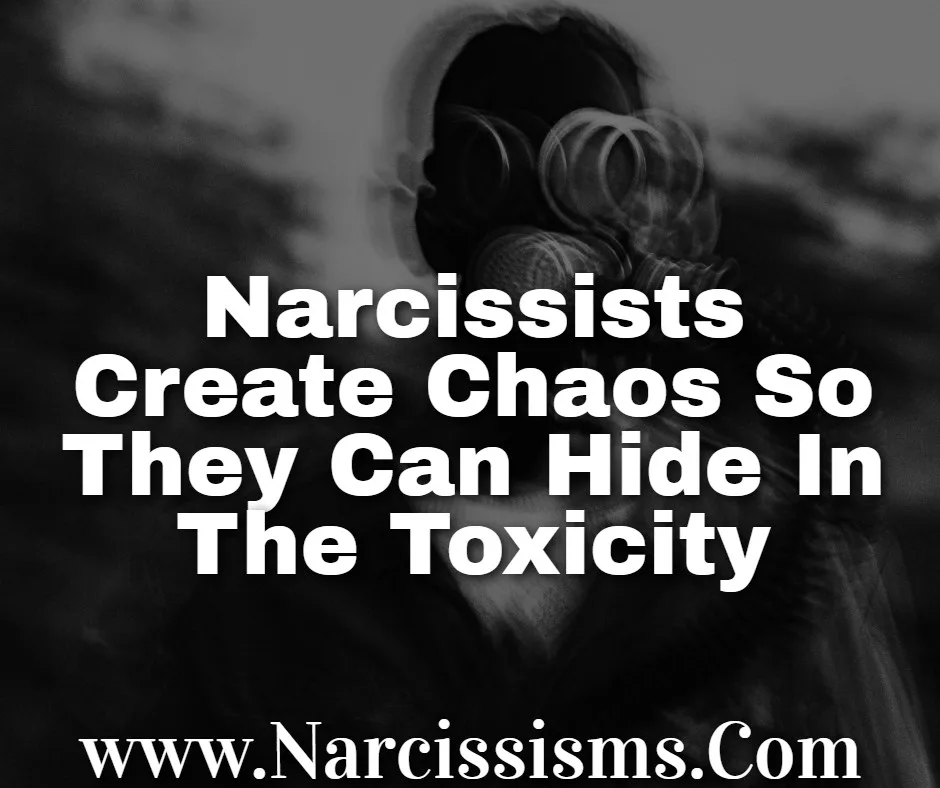 Quote - Narcissists Create Chaos So They Can Hide In The Toxicity