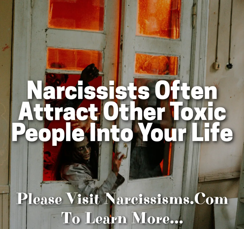 Quote - Narcissists Often Attract Other Toxic People Into Your Life