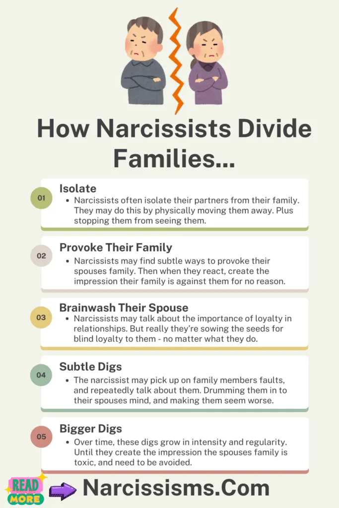 Infographic - "How Narcissists Divide Families"