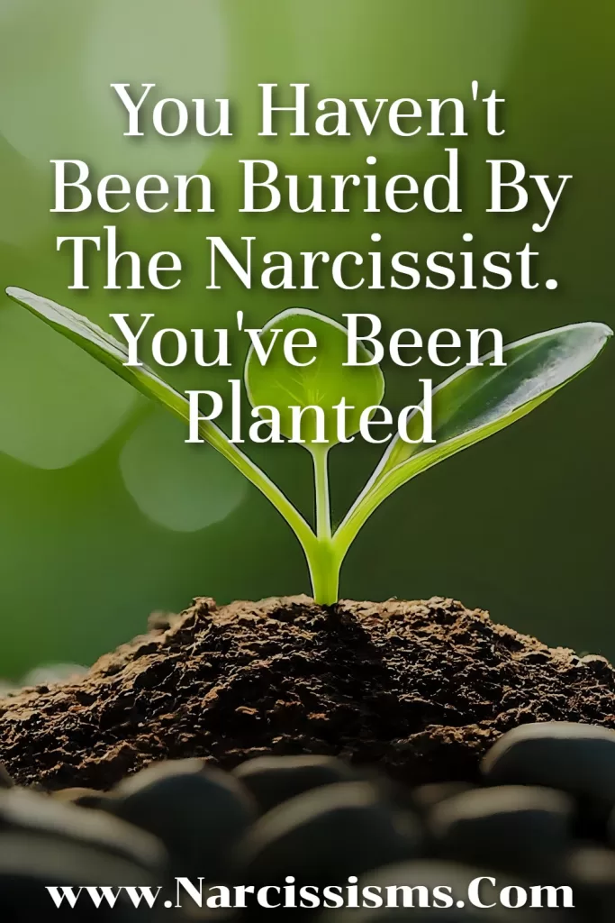 Narcissism quote - "You haven't been buried by the narcissist. You've been planted".