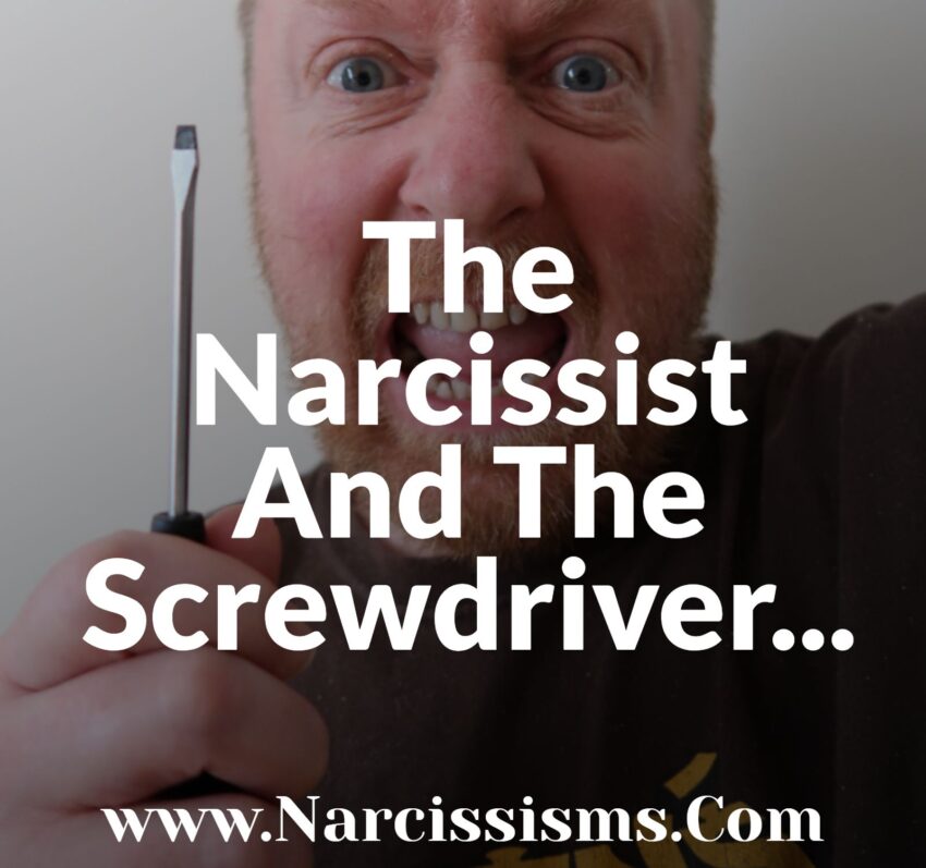 The Narcissist And The Screwdriver