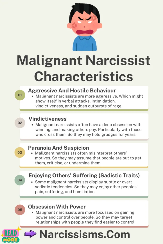 Infographic - "Malignant Narcissist Characteristics"