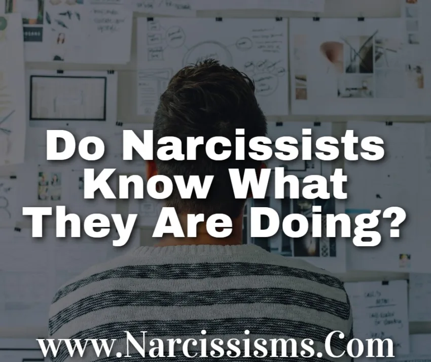 Do Narcissists Know What They Are Doing?