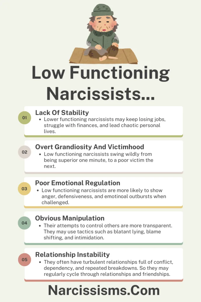 Infographic - Low Functioning Narcissists