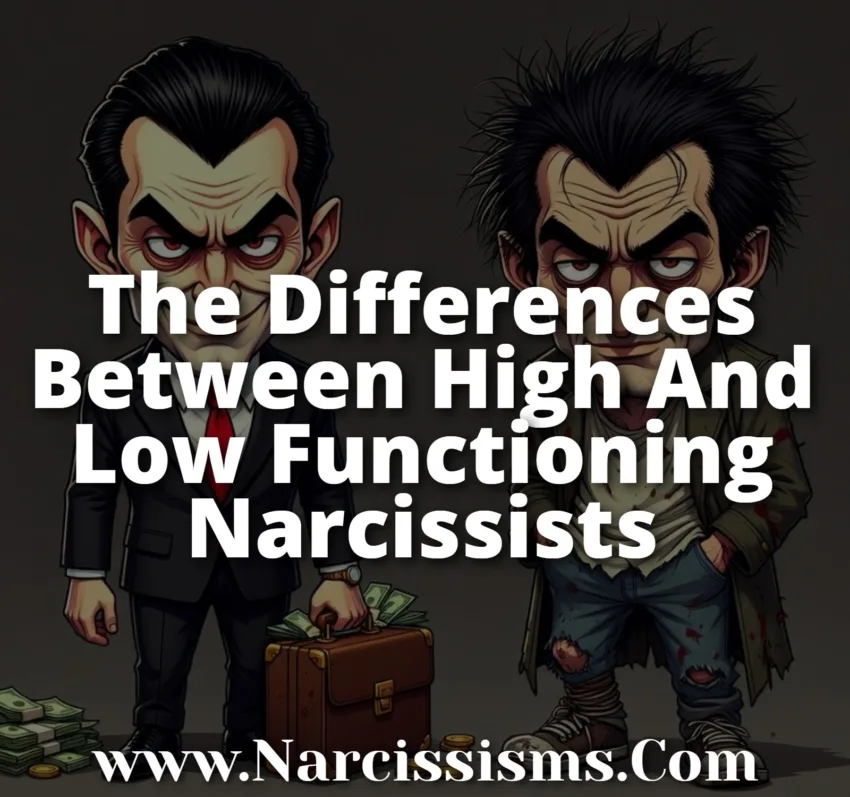 The Differences Between High Functioning And Low Functioning Narcissists